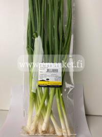 SPRING ONION 100 Gr